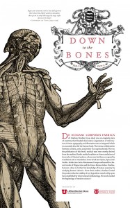 Down to the Bone Poster
